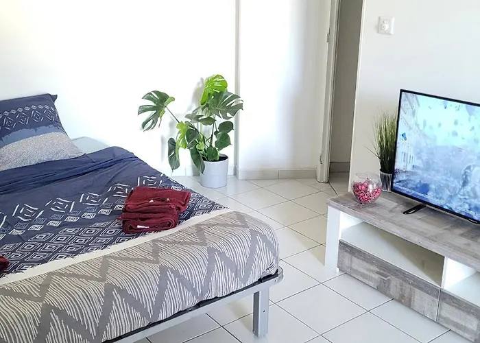 Charmant Studio Cannes Centre - Ideal Vacance Et Congres