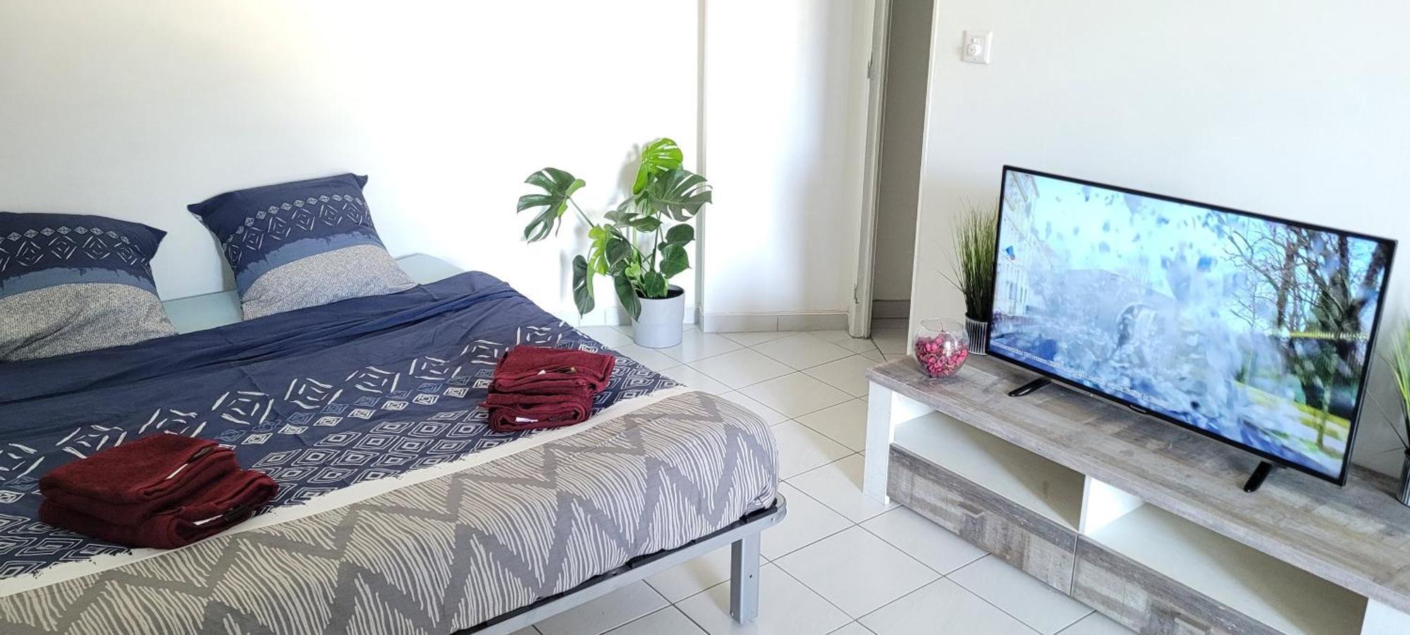 Centre - Ideal Vacance Et Congres Apartment