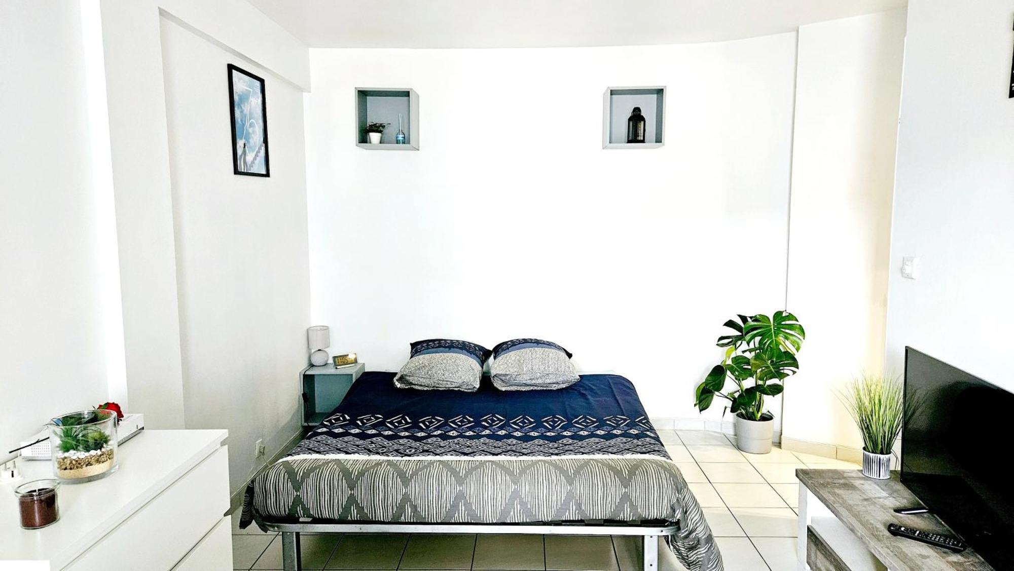 Centre - Ideal Vacance Et Congres Apartment *